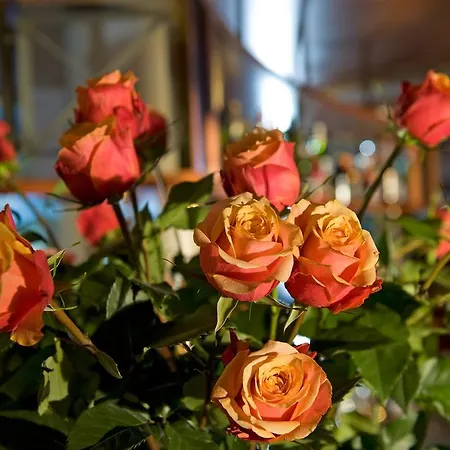 ホテル Cresta Sun